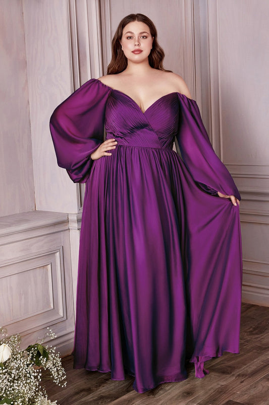 Classic Evening & Prom Dresses Long Sleeves Bodice A-line Chiffon Gown Plus Size Luxury Royal Style CDCD243C