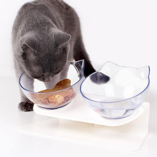 Laifug Elevated Cat Bowls