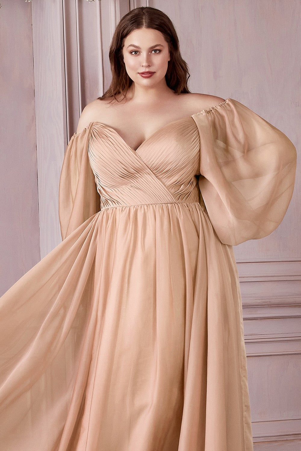 Classic Evening & Prom Dresses Long Sleeves Bodice A-line Chiffon Gown Plus Size Luxury Royal Style CDCD243C